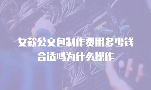 女款公文包制作费用多少钱合适吗为什么操作