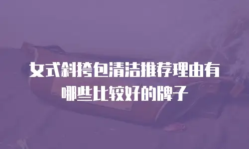 女式斜挎包清洁推荐理由有哪些比较好的牌子