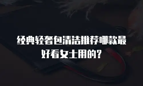 经典轻奢包清洁推荐哪款最好看女士用的？
