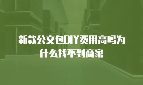 新款公文包DIY费用高吗为什么找不到商家