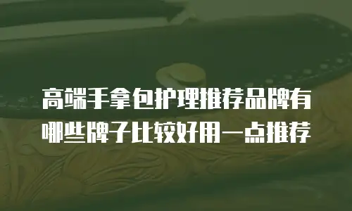 高端手拿包护理推荐品牌有哪些牌子比较好用一点推荐