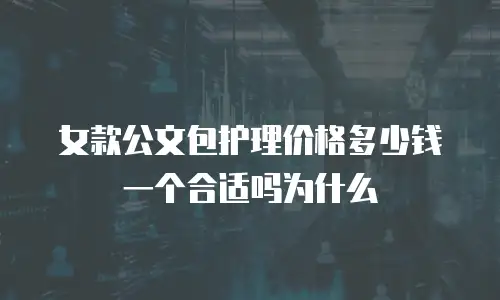 女款公文包护理价格多少钱一个合适吗为什么