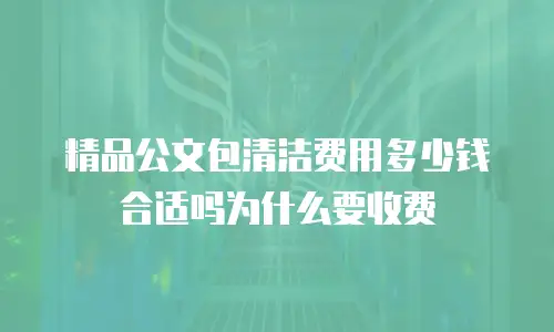 精品公文包清洁费用多少钱合适吗为什么要收费