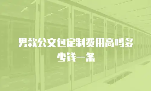 男款公文包定制费用高吗多少钱一条