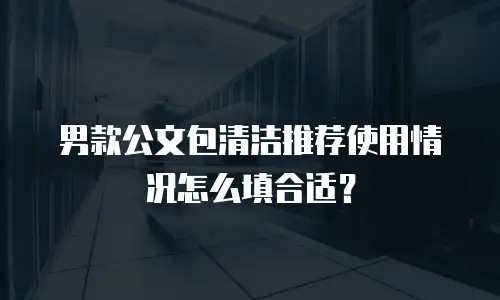 男款公文包清洁推荐使用情况怎么填合适？