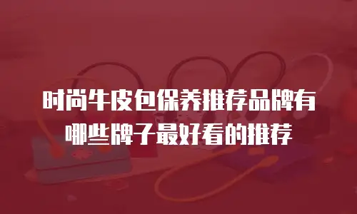 时尚牛皮包保养推荐品牌有哪些牌子最好看的推荐