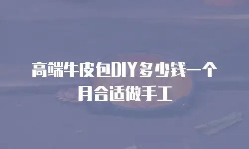 高端牛皮包DIY多少钱一个月合适做手工