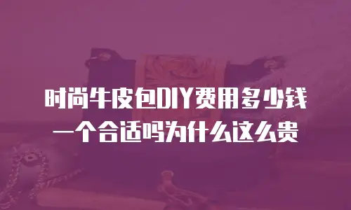 时尚牛皮包DIY费用多少钱一个合适吗为什么这么贵