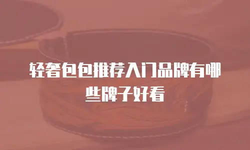 轻奢包包推荐入门品牌有哪些牌子好看