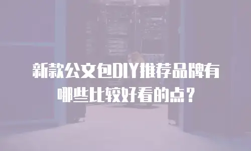 新款公文包DIY推荐品牌有哪些比较好看的点？