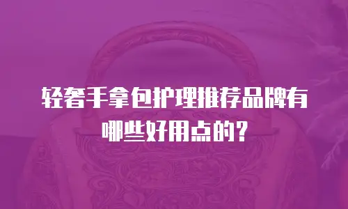 轻奢手拿包护理推荐品牌有哪些好用点的？
