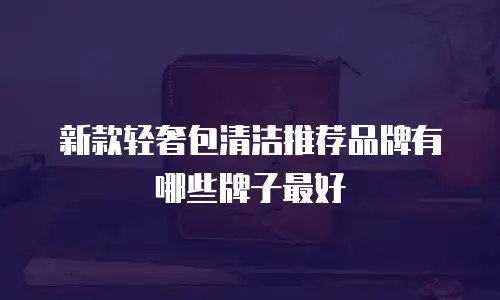 新款轻奢包清洁推荐品牌有哪些牌子最好