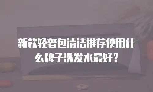 新款轻奢包清洁推荐使用什么牌子洗发水最好？