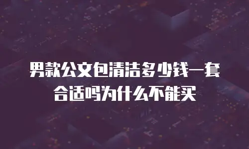 男款公文包清洁多少钱一套合适吗为什么不能买