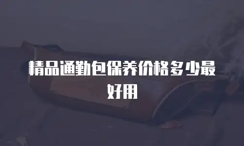 精品通勤包保养价格多少最好用