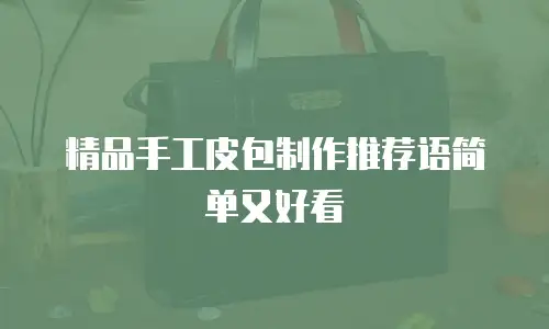 精品手工皮包制作推荐语简单又好看