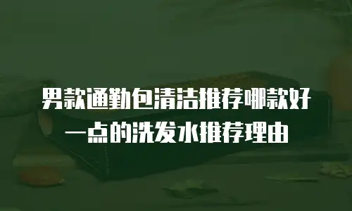 男款通勤包清洁推荐哪款好一点的洗发水推荐理由