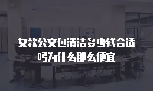 女款公文包清洁多少钱合适吗为什么那么便宜