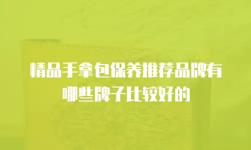 精品手拿包保养推荐品牌有哪些牌子比较好的