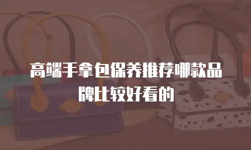 高端手拿包保养推荐哪款品牌比较好看的