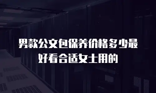 男款公文包保养价格多少最好看合适女士用的