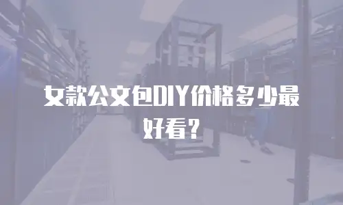 女款公文包DIY价格多少最好看？