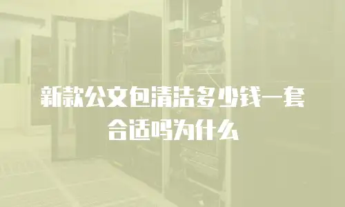 新款公文包清洁多少钱一套合适吗为什么