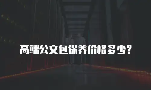 高端公文包保养价格多少？