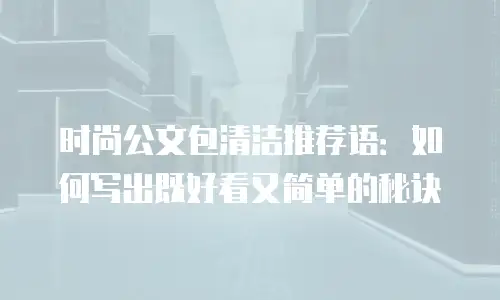 时尚公文包清洁推荐语：如何写出既好看又简单的秘诀