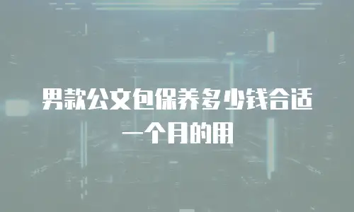 男款公文包保养多少钱合适一个月的用