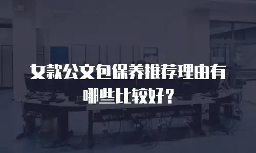 女款公文包保养推荐理由有哪些比较好？