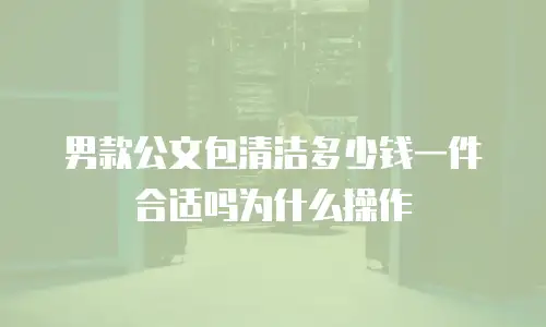 男款公文包清洁多少钱一件合适吗为什么操作