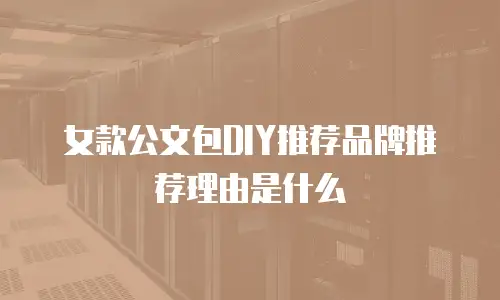 女款公文包DIY推荐品牌推荐理由是什么