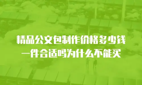 精品公文包制作价格多少钱一件合适吗为什么不能买