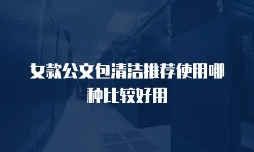 女款公文包清洁推荐使用哪种比较好用