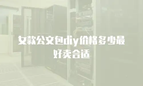 女款公文包diy价格多少最好卖合适