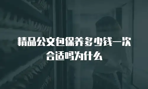 精品公文包保养多少钱一次合适吗为什么