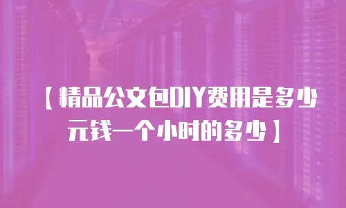【精品公文包DIY费用是多少元钱一个小时的多少】