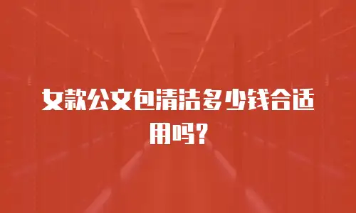 女款公文包清洁多少钱合适用吗？