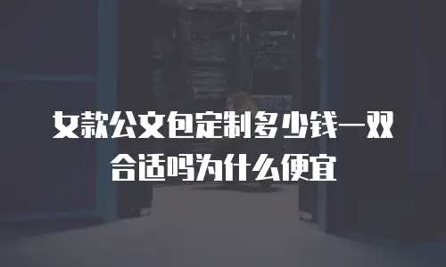 女款公文包定制多少钱一双合适吗为什么便宜