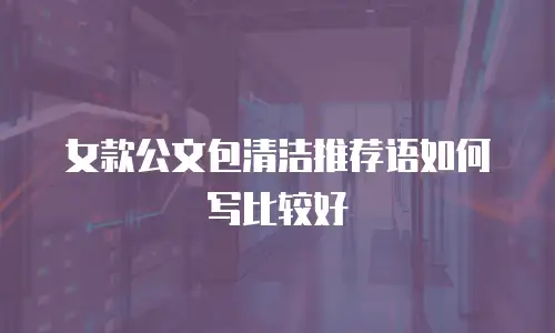 女款公文包清洁推荐语如何写比较好