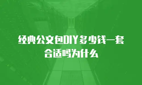 经典公文包DIY多少钱一套合适吗为什么