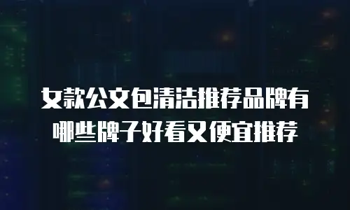 女款公文包清洁推荐品牌有哪些牌子好看又便宜推荐