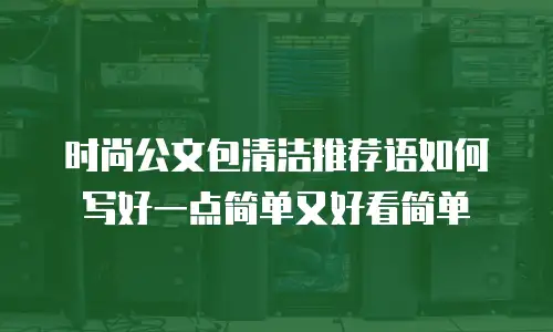 时尚公文包清洁推荐语如何写好一点简单又好看简单