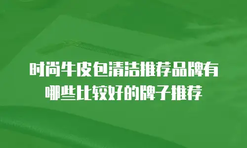 时尚牛皮包清洁推荐品牌有哪些比较好的牌子推荐