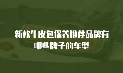 新款牛皮包保养推荐品牌有哪些牌子的车型