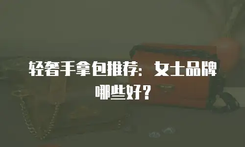 轻奢手拿包推荐：女士品牌哪些好？