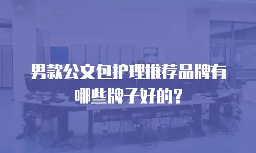 男款公文包护理推荐品牌有哪些牌子好的？