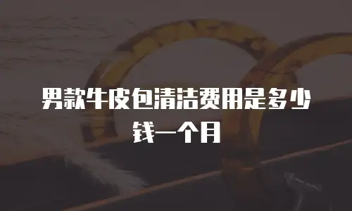 男款牛皮包清洁费用是多少钱一个月