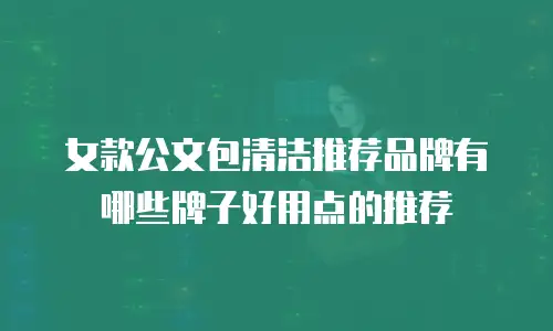 女款公文包清洁推荐品牌有哪些牌子好用点的推荐